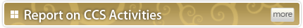 Report on CCS Activities