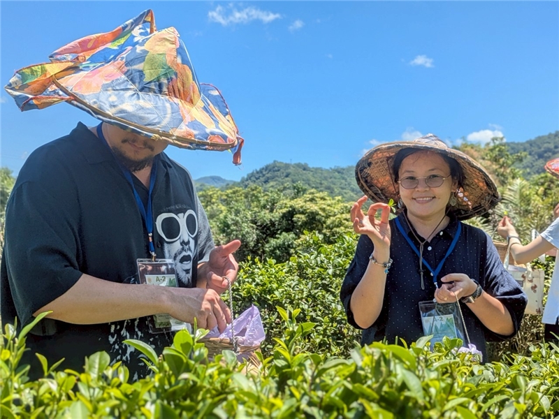 採茶趣